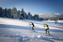 skiresort Bedrichov