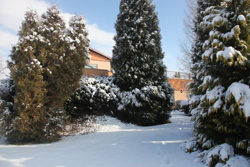 Villa JOSKA im Winter