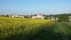 a walk near the house JOSKA with view on the old town of Mlada Boleslav
